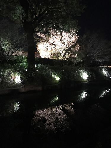 f:id:momotoyuin:20180402124544j:plain