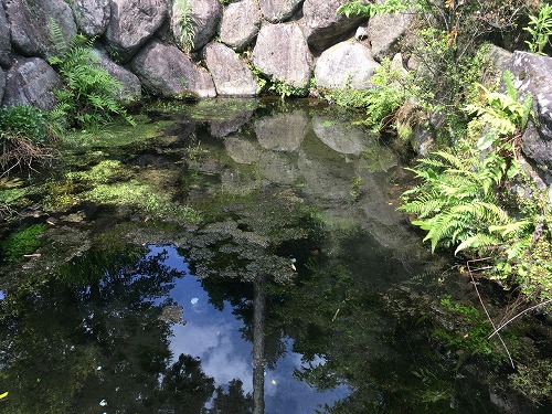 f:id:momotoyuin:20180621120017j:plain