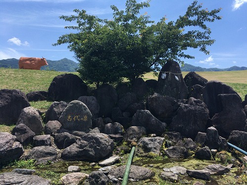 f:id:momotoyuin:20180622135543j:plain
