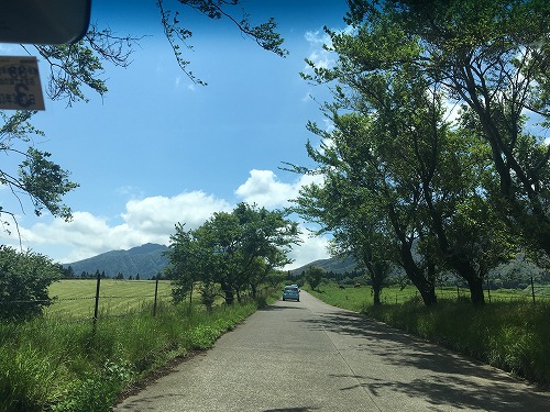 f:id:momotoyuin:20190515232338j:plain