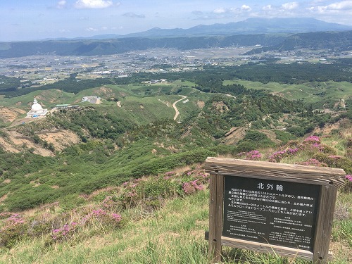 f:id:momotoyuin:20190515232952j:plain