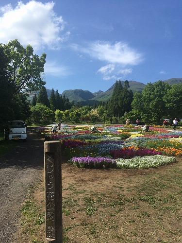 f:id:momotoyuin:20190527133517j:plain
