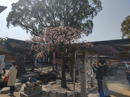 f:id:momotoyuin:20210224172503j:plain