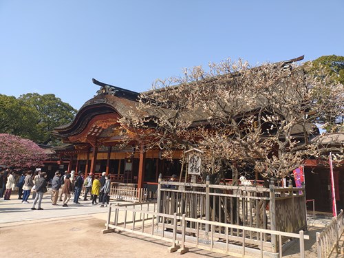 f:id:momotoyuin:20210224172506j:plain