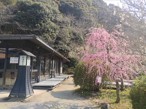 f:id:momotoyuin:20210224172549j:plain