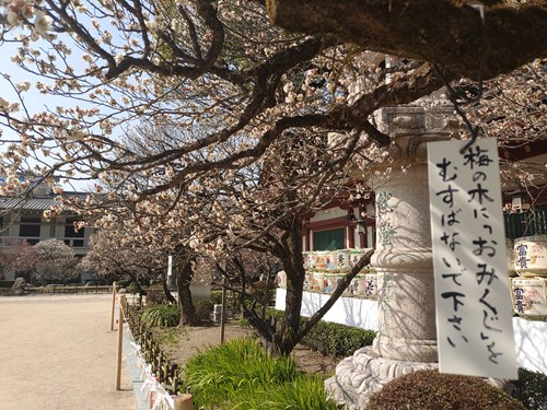 f:id:momotoyuin:20210224172636j:plain