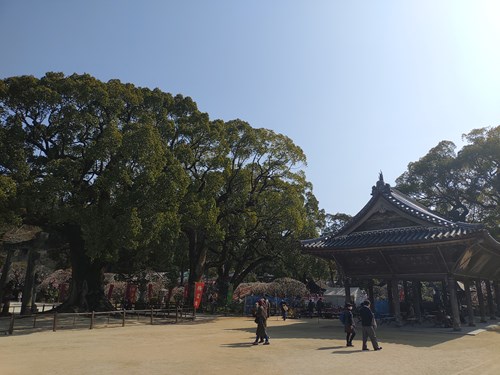 f:id:momotoyuin:20210224172638j:plain