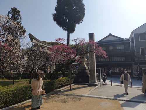 f:id:momotoyuin:20210224172700j:plain