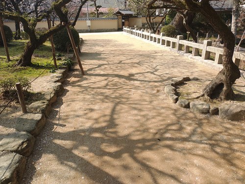 f:id:momotoyuin:20210224172705j:plain