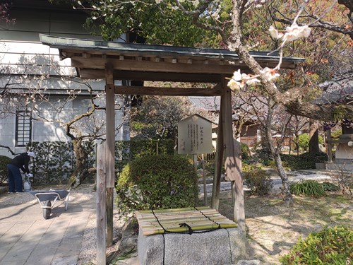 f:id:momotoyuin:20210224172720j:plain