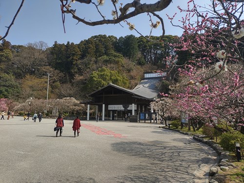 f:id:momotoyuin:20210224172726j:plain