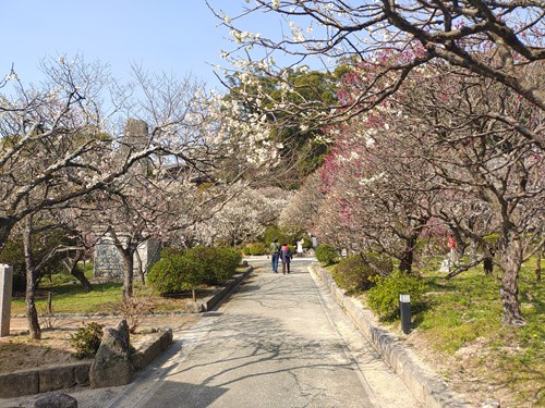 f:id:momotoyuin:20210224172750j:plain