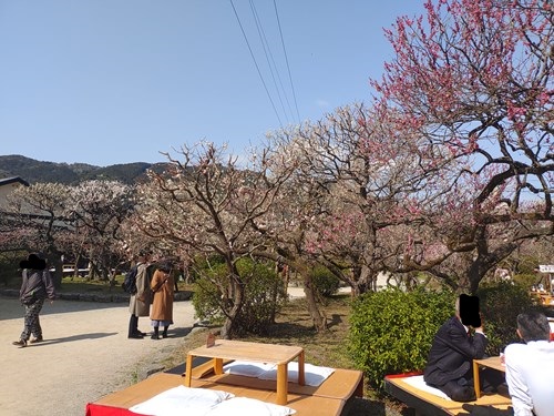 f:id:momotoyuin:20210224222854j:plain